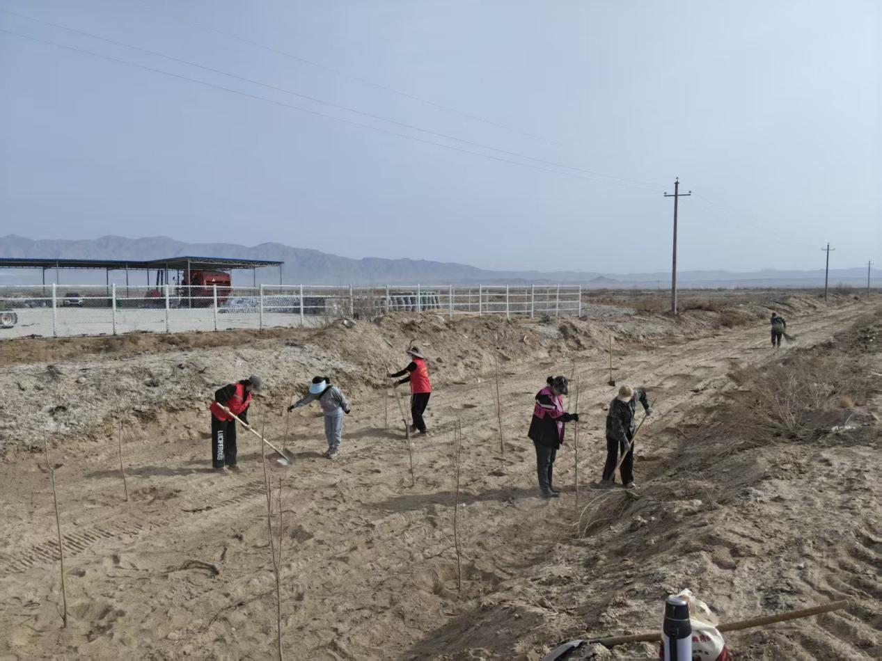 3aa4458e2d804800e8ebffb97d95516b