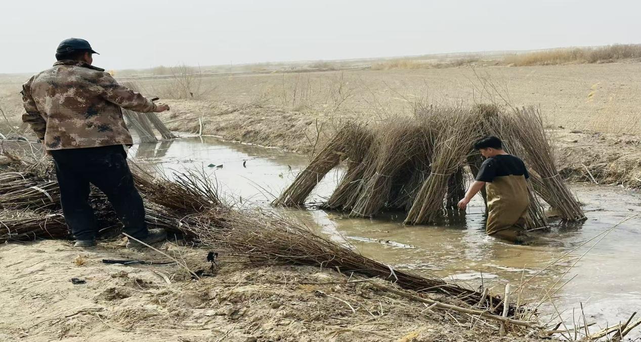 85e8aa211d4e06d76616a6009a9f83ae