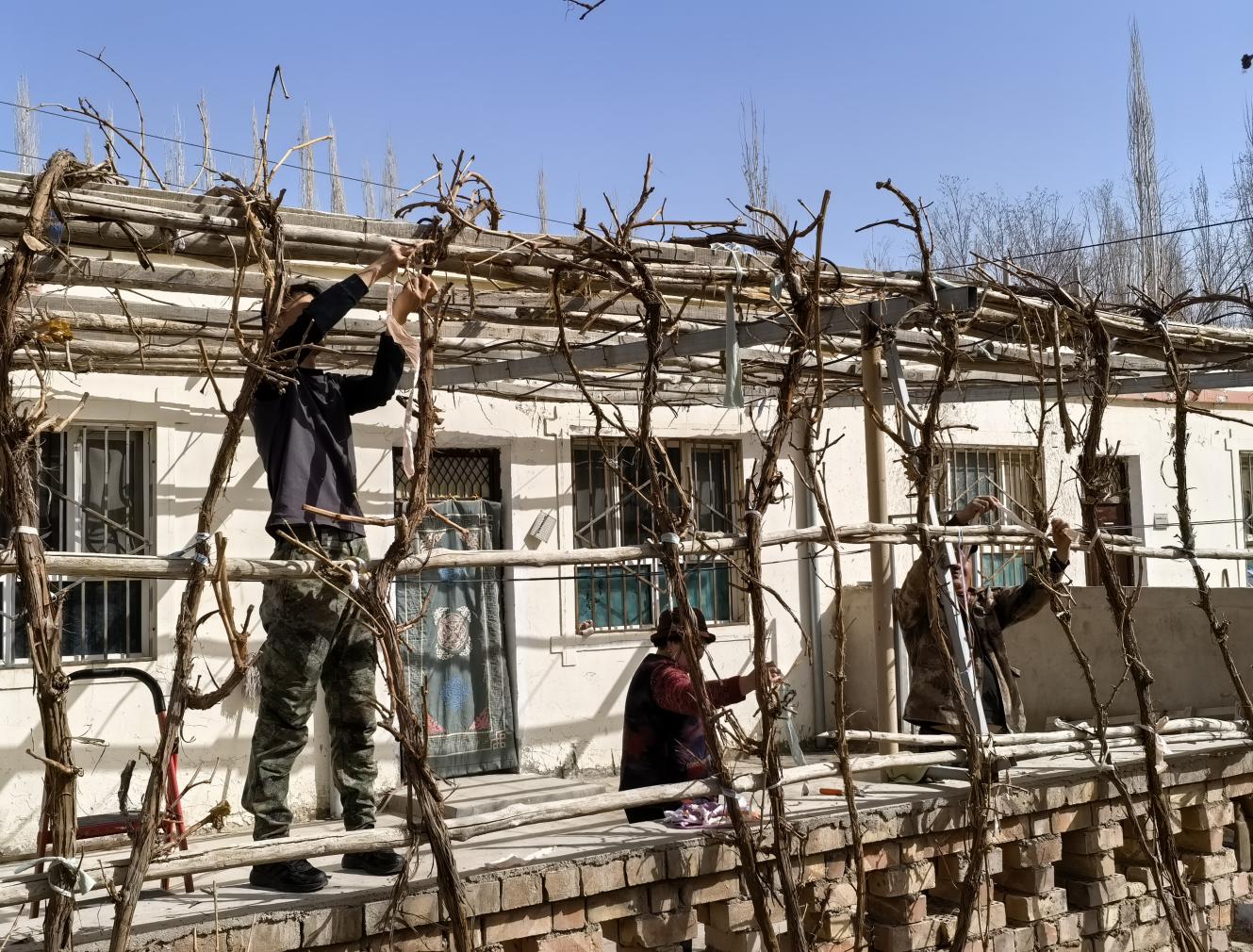 8fa82be9b97a8deafad2a0c06bd1c0ce