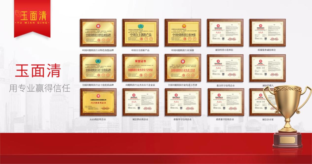 品牌宣传认证店铺背书海报banner