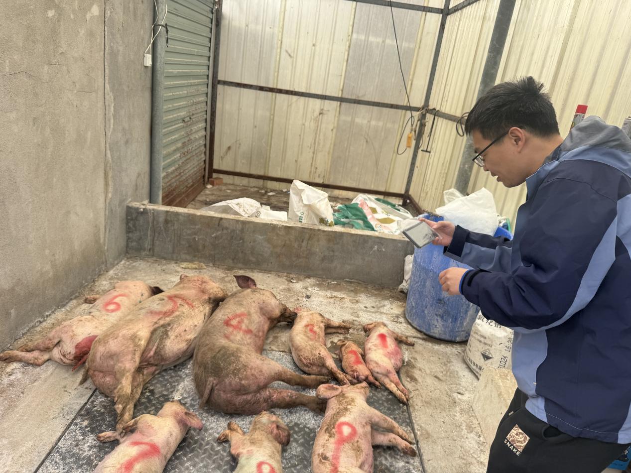 ΢��ͼƬ_2026-02-27_090135_950