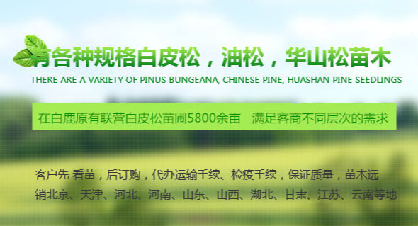 如图片无法显示，请刷新页面