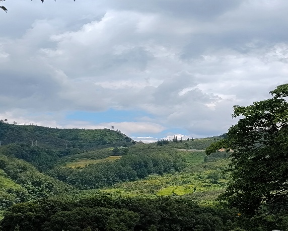 ���ഺΪ�棬������֮·