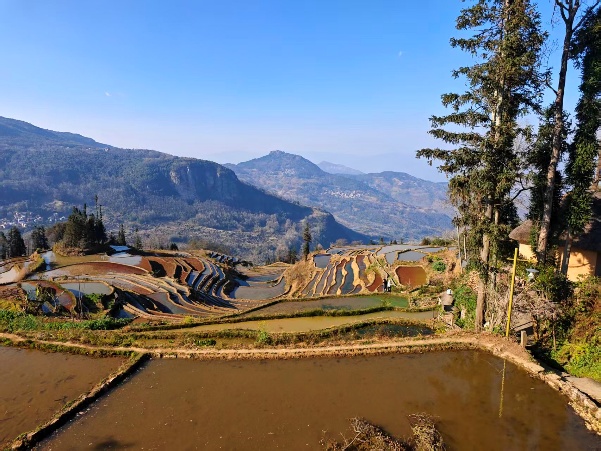 ��ͼƬ�޷���ʾ����ˢ��ҳ��