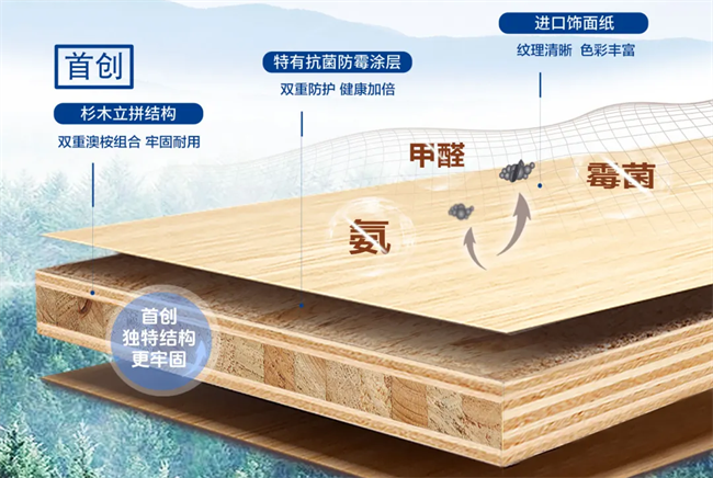 双榜加冕 实力续篇｜万象板材蝉联2026中品榜“板材+阻燃板”双项荣誉