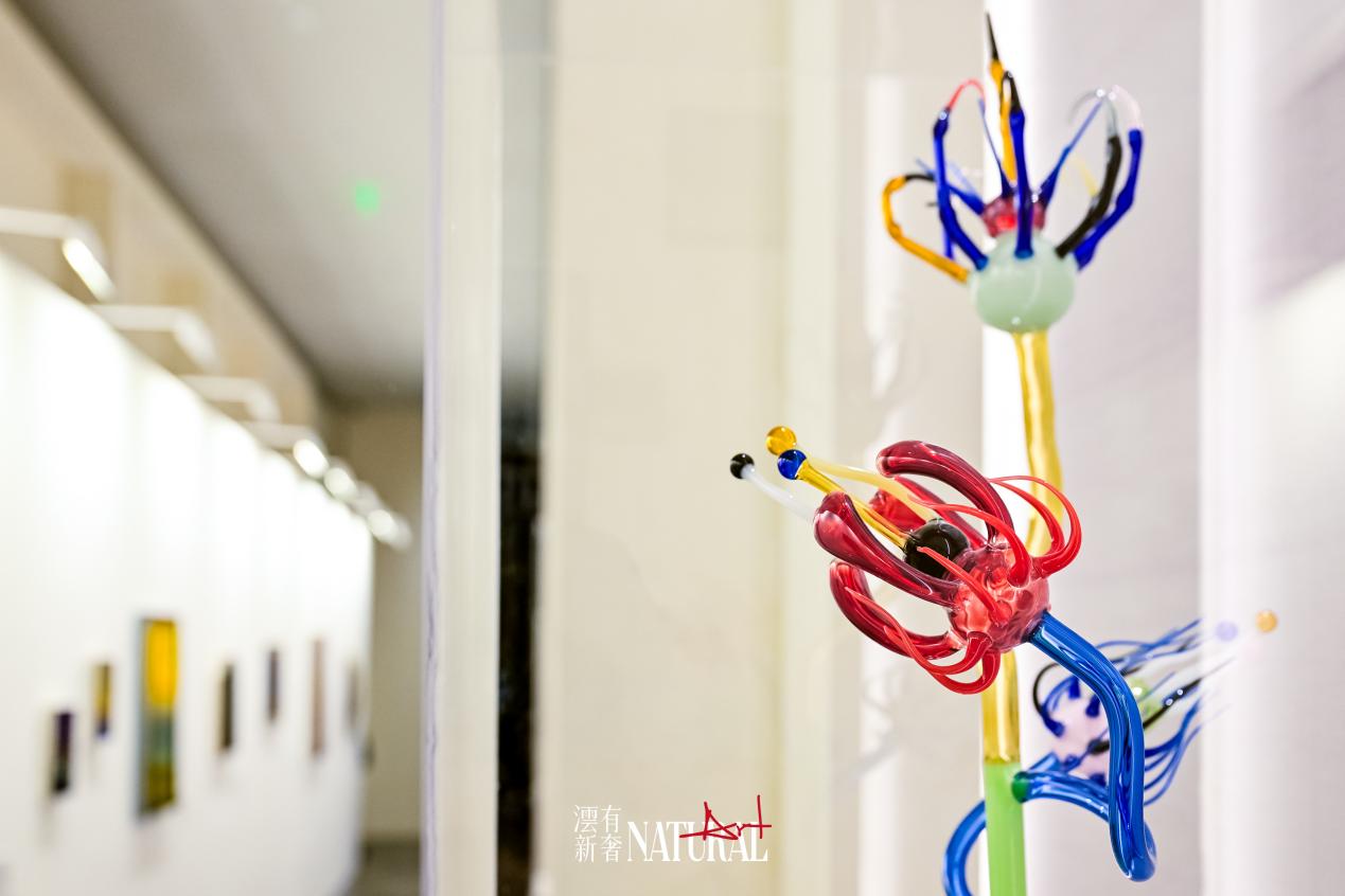 _TLM0493-opq4517111242 (1)