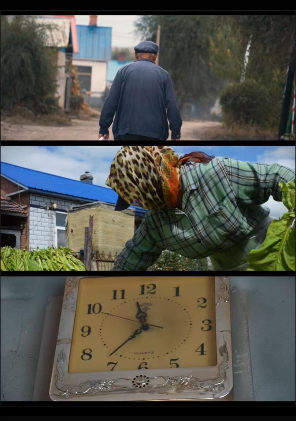 2ec599d98250b3eccfd4aa704e9ca7f